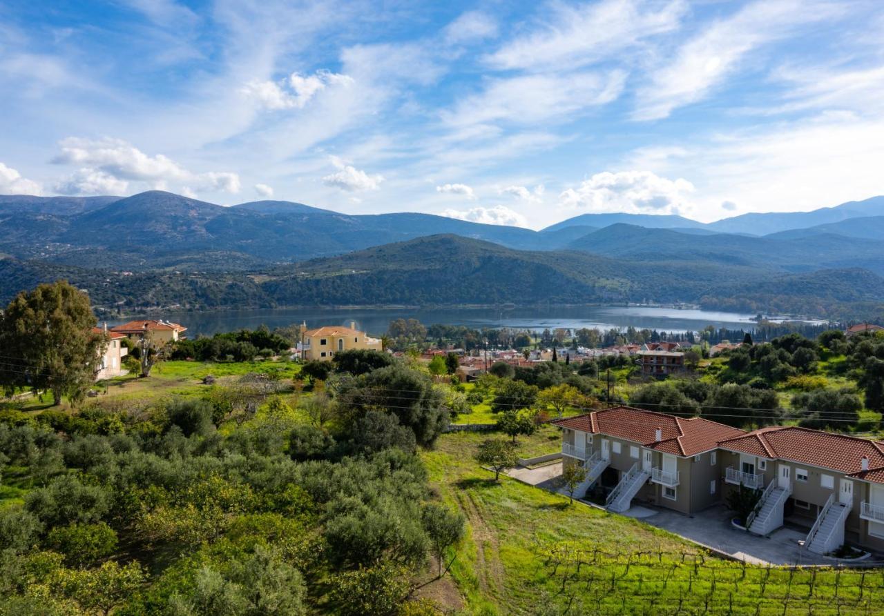 Apaggio Di Argostoli Apartments - Private Parking & Sea View ภายนอก รูปภาพ